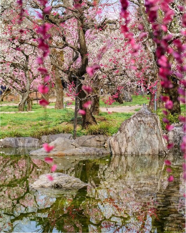 ⛩️ 미야케 신사 이미지 3